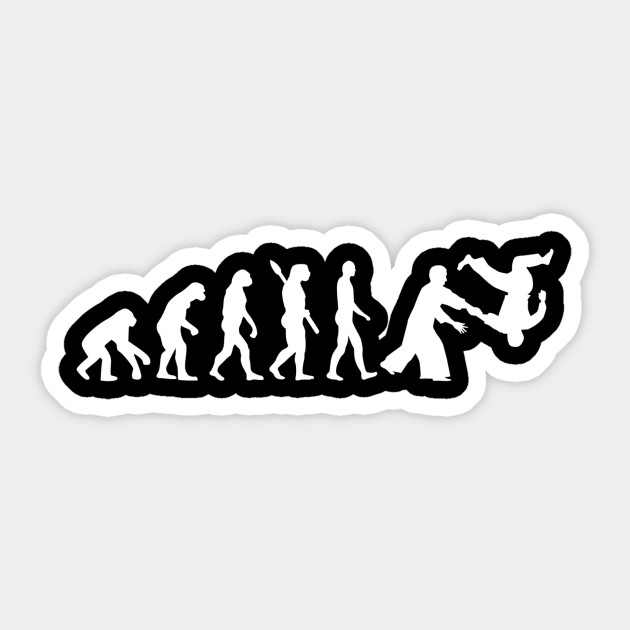 Aikido evolution